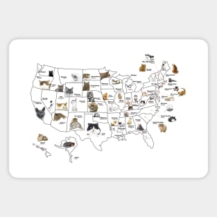 United States Cat Map Poster Color Magnet